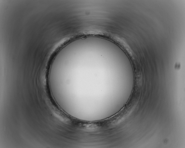 X0000101180395200807111120