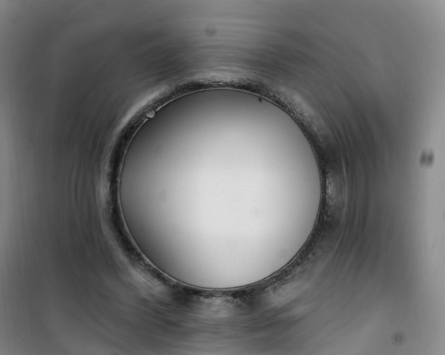 X0000101180396200807111120