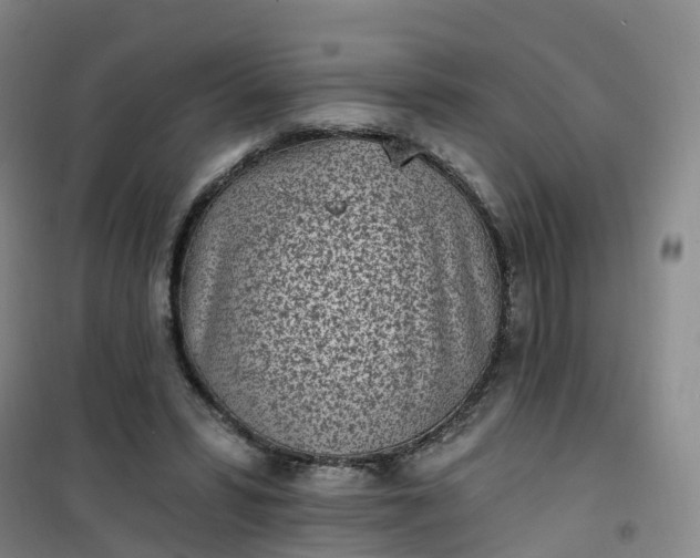 X0000101180399200807111120