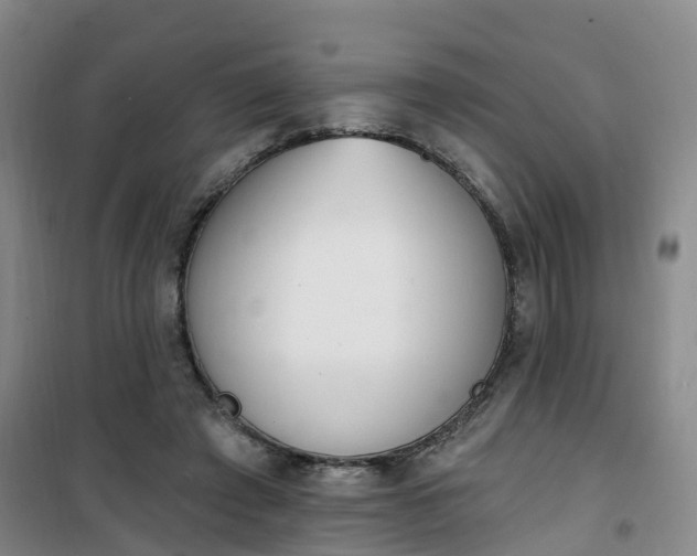 X0000101180401200807111120