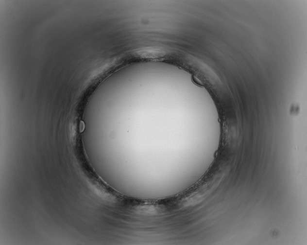 X0000101180404200807111120