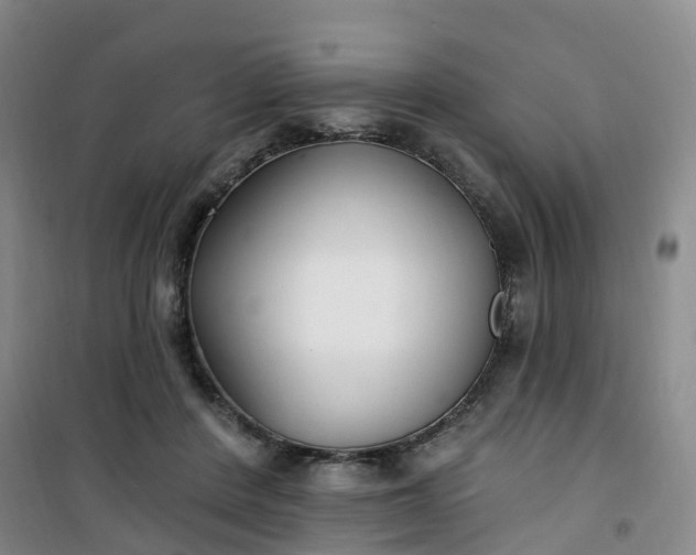 X0000101180408200807111120