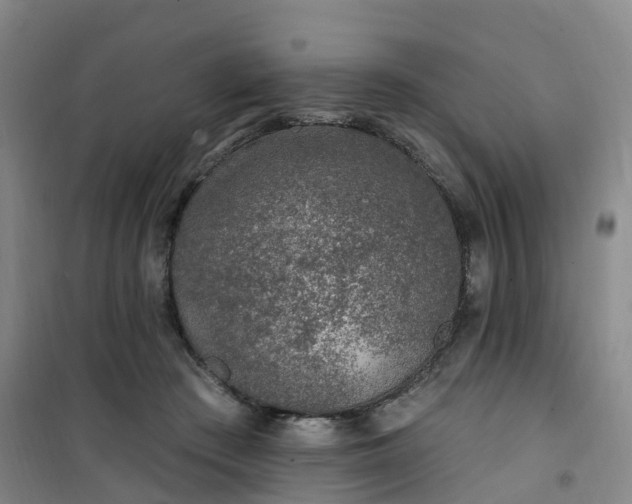 X0000101180409200807111120