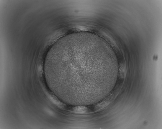 X0000101180410200807111120