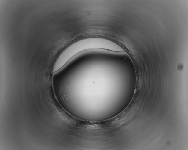 X0000101180411200807111120