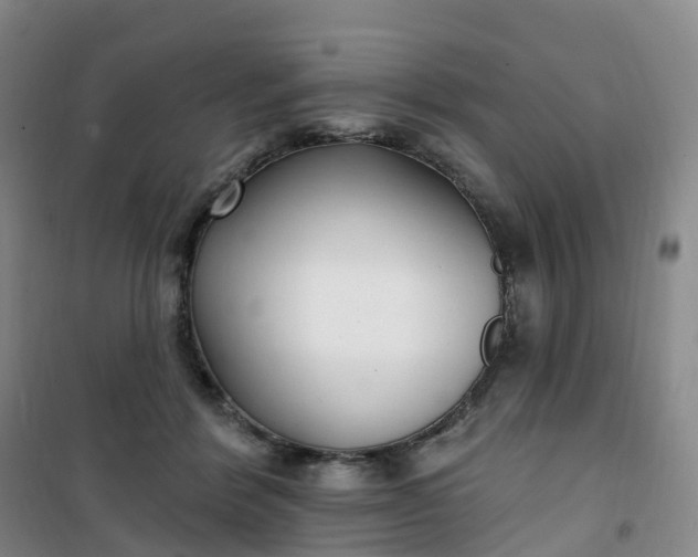 X0000101180412200807111120