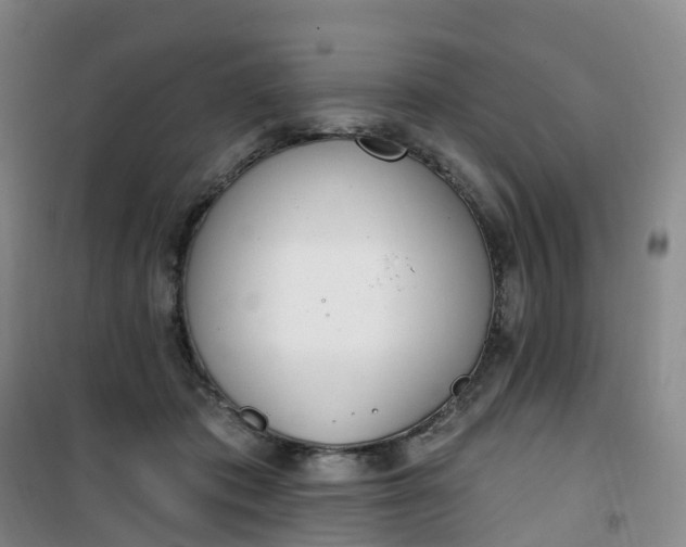 X0000101180413200807111120