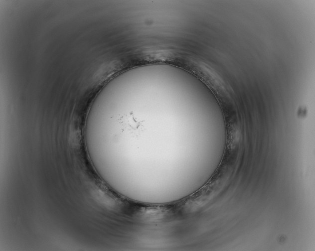 X0000101180414200807111120