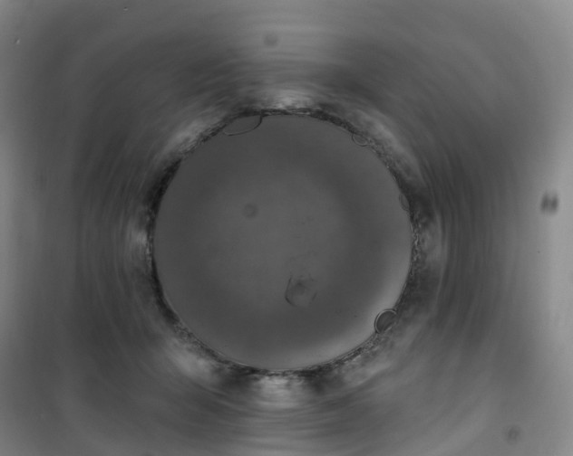 X0000101180415200807111120