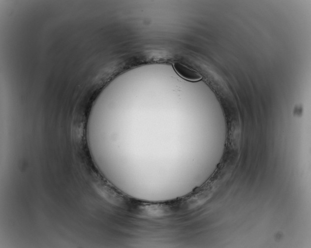 X0000101180417200807111120