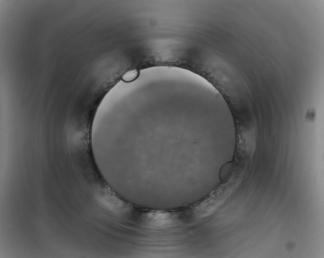 X0000101180419200807111120