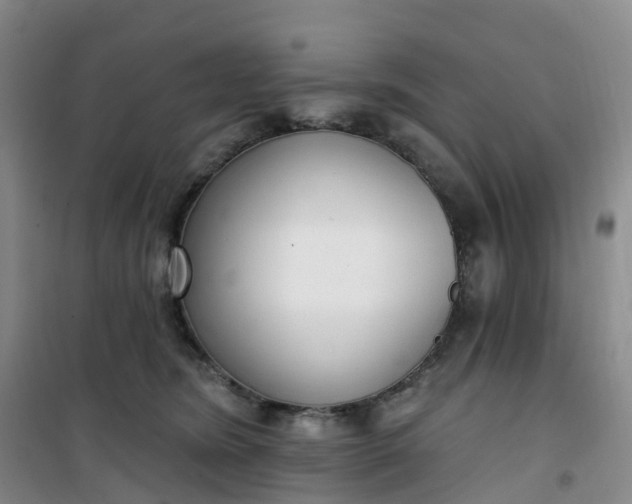 X0000101180420200807111120