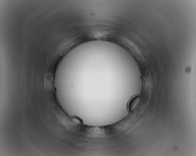 X0000101180421200807111120