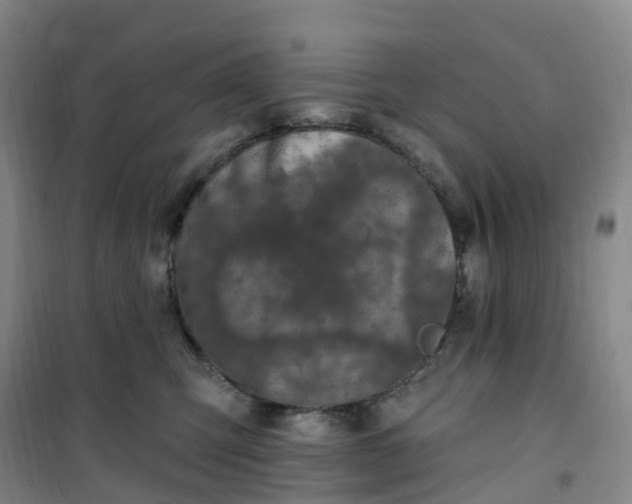 X0000101180423200807111120