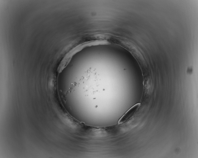 X0000101180424200807111120