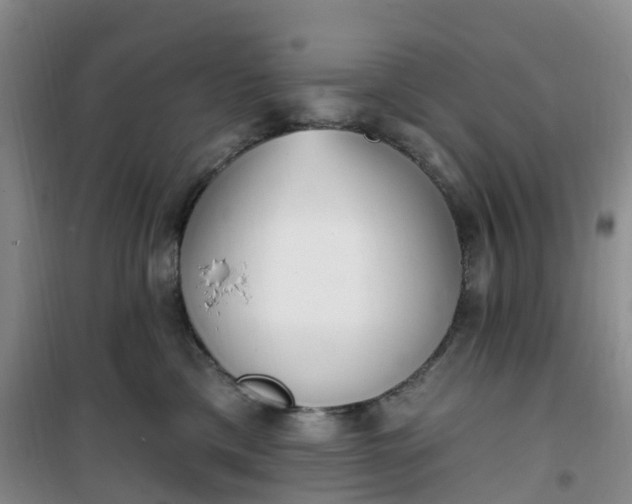 X0000101180425200807111120