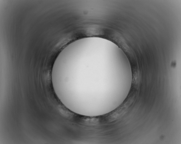 X0000101180426200807111120