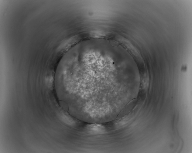 X0000101180427200807111120