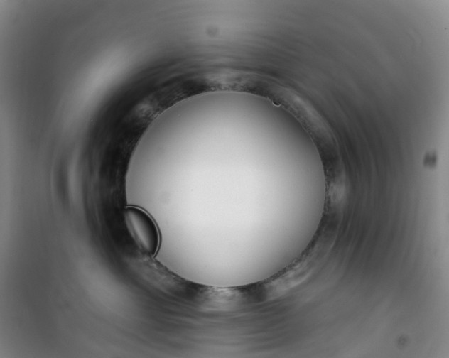 X0000101180429200807111120