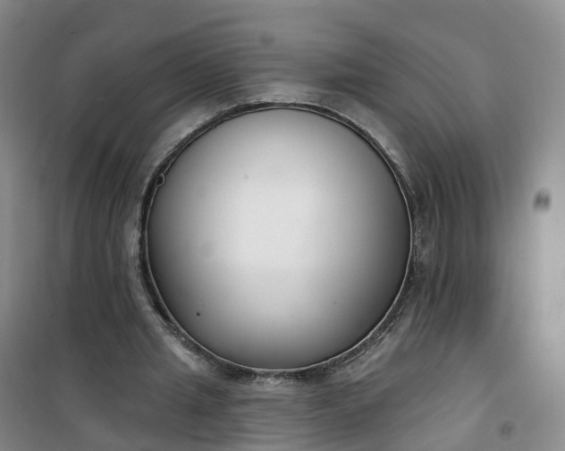 X0000101180437200807111119