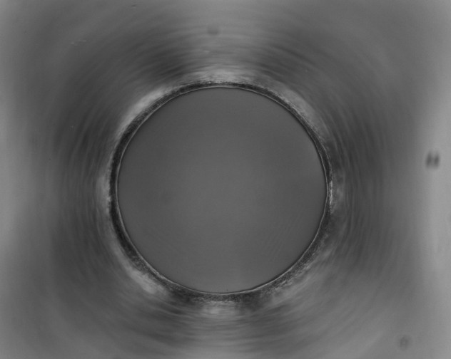 X0000101180438200807111119