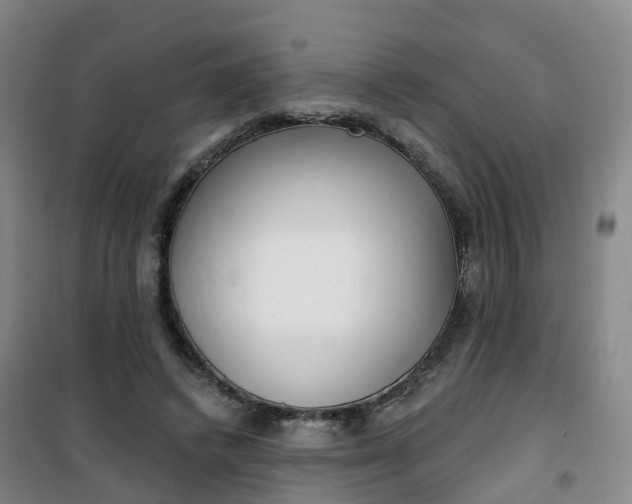 X0000101180448200807111119
