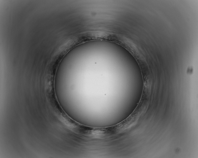 X0000101180462200807111119