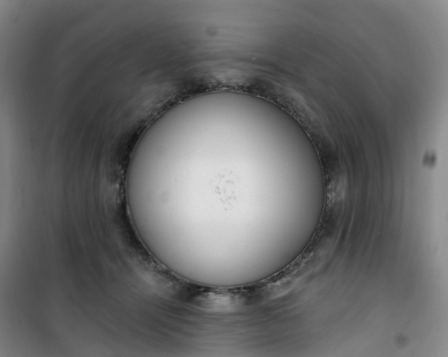 X0000101180464200807111119