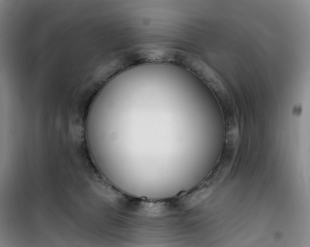 X0000101180469200807111119