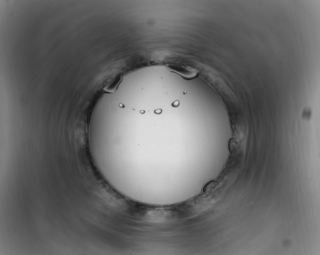 X0000101180470200807111119