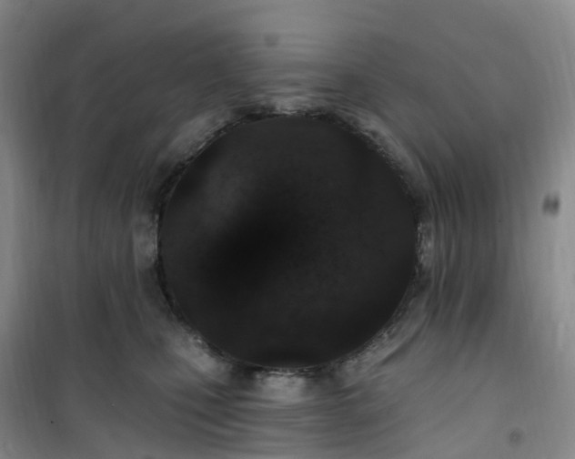 X0000101180471200807111119