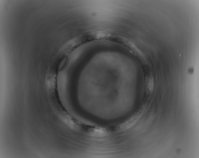 X0000101180475200807111119