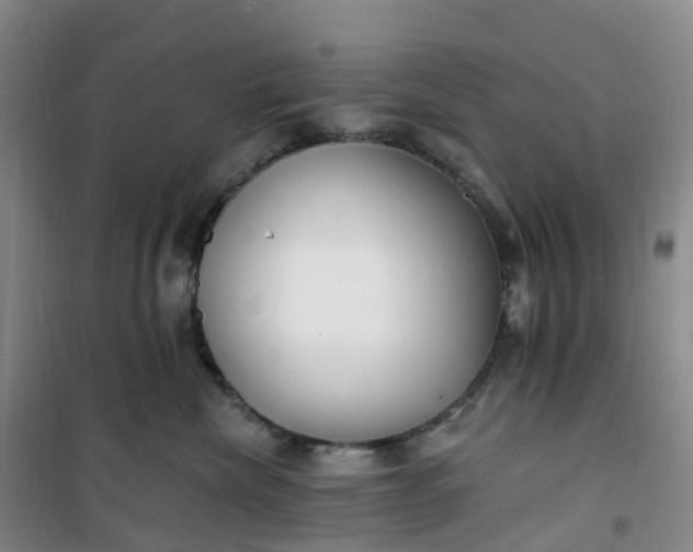 X0000101180476200807111119