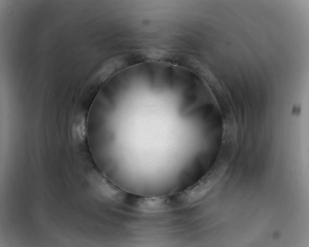 X0000101180479200807111119