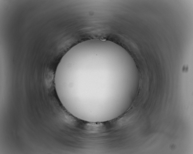 X0000101180480200807111119