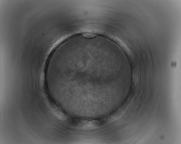 X0000101180488200807111119