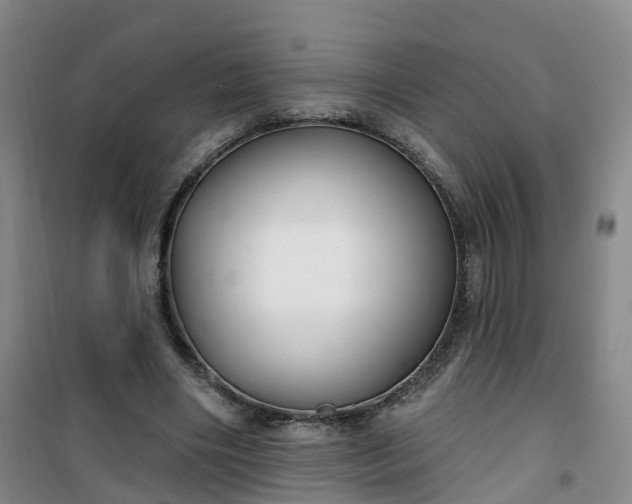 X0000101180490200807111119