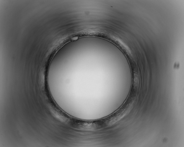 X0000101180493200807111119