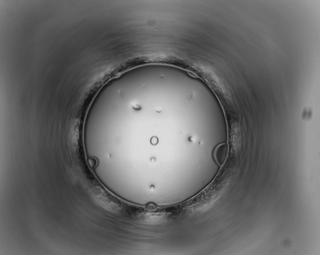 X0000101180495200807111119