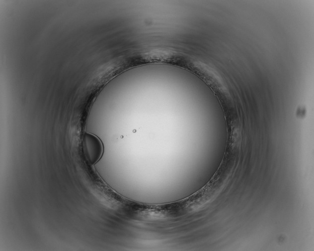 X0000101180498200807111118