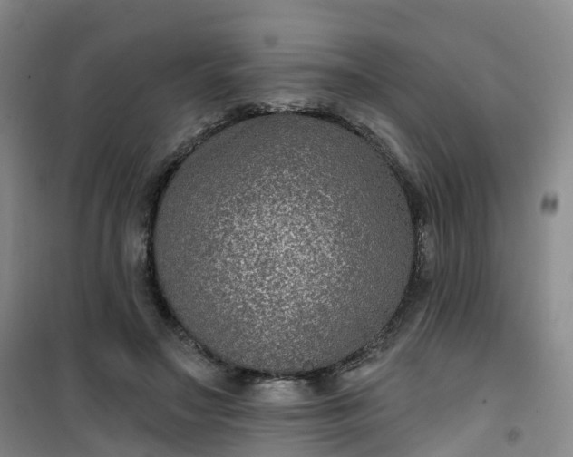 X0000101180499200807111118