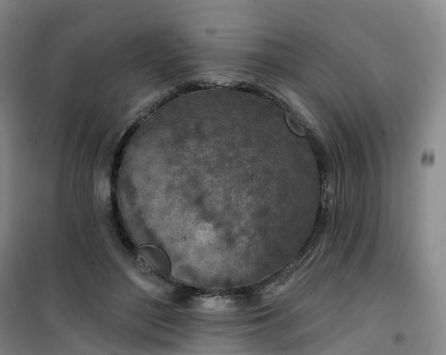 X0000101180500200807111118