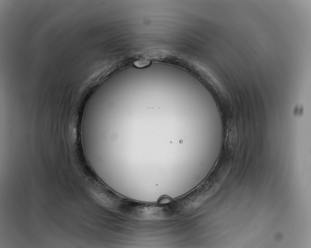 X0000101180501200807111118