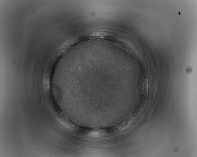 X0000101180504200807111118