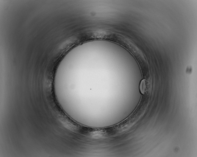 X0000101180505200807111118