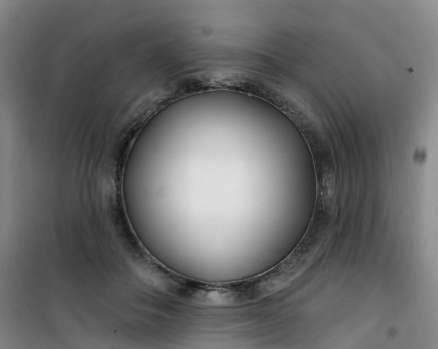X0000101180506200807111118