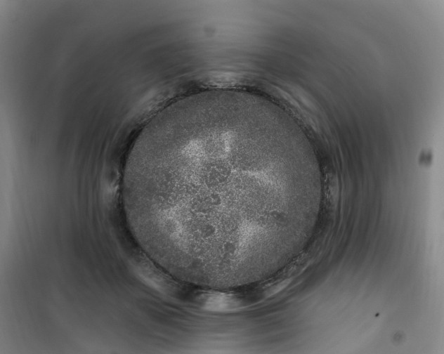 X0000101180507200807111118