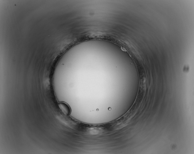 X0000101180508200807111118