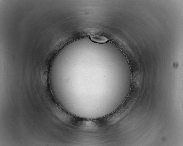 X0000101180509200807111118