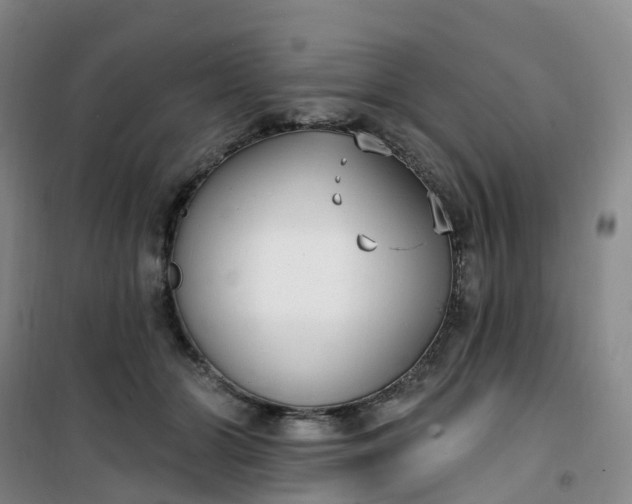 X0000101180510200807111118